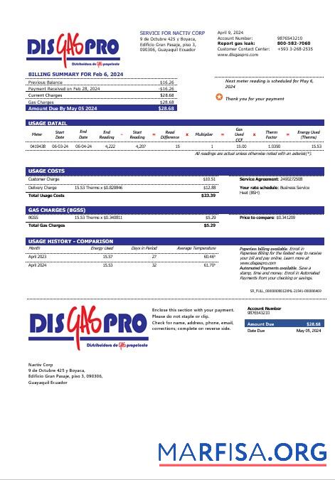 Downloadable Ecuador Disgaspro gas business utility bill template in Word and pdf formats